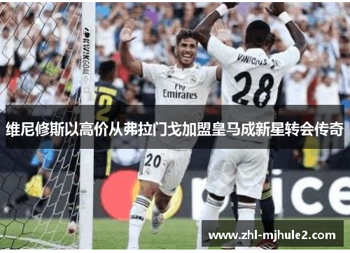 维尼修斯以高价从弗拉门戈加盟皇马成新星转会传奇 维尼修斯以高价从弗拉门戈加盟皇马成新星转会传奇